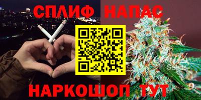 ECSTASY Новодвинск