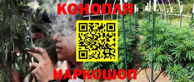 ECSTASY Новодвинск