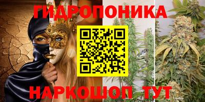 ECSTASY Новодвинск