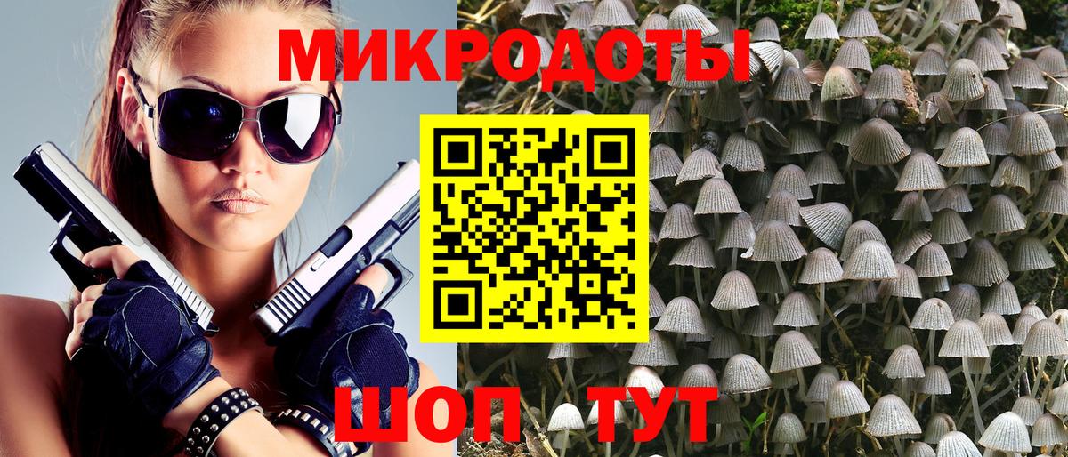 Псилоцибиновые грибы мицелий Томск