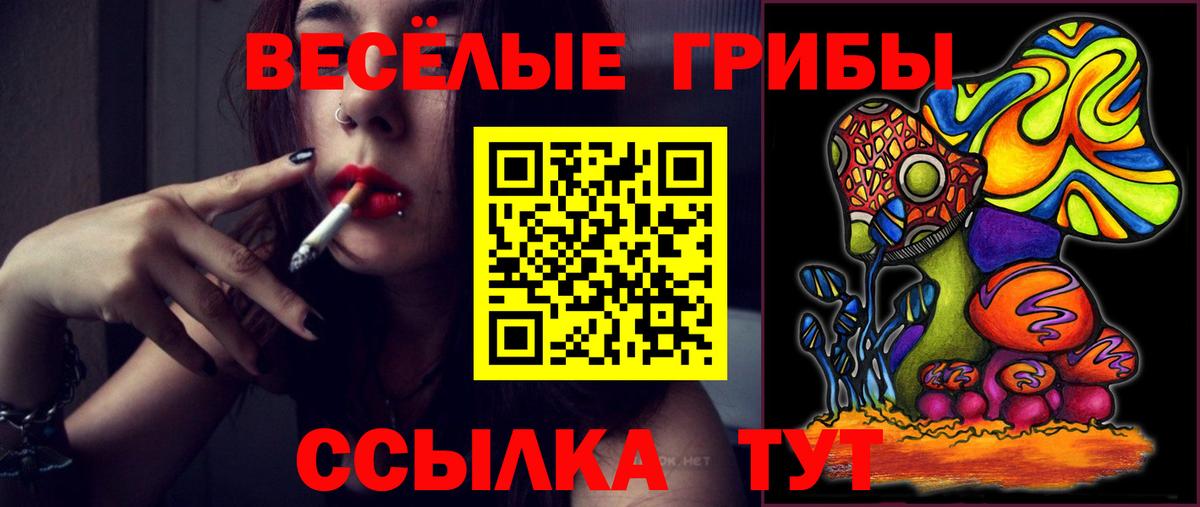 сколько стоит  Вход с VPN  Томск  Галлюциногенные грибы GOLDEN TEACHER 